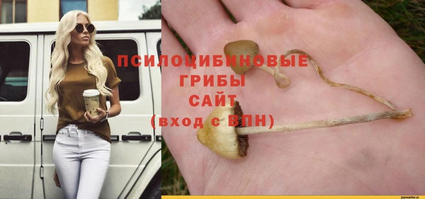 mdpv Баксан