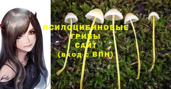 гашик Беломорск