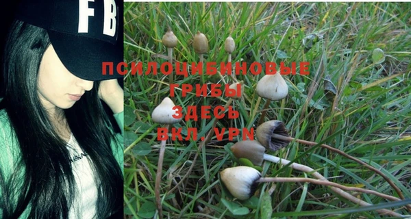 стаф Балабаново