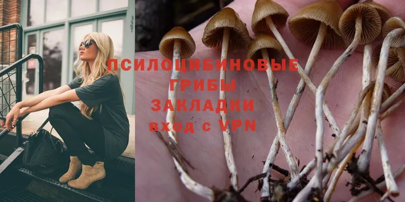 Галлюциногенные грибы Magic Shrooms  Буинск 