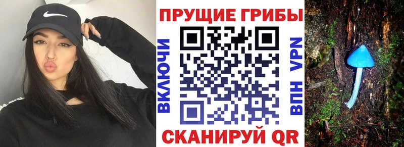 ссылка на мегу зеркало  Буинск  Галлюциногенные грибы мухоморы 